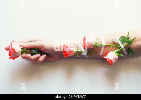 Frauen Mode Hände von Naturkosmetik, rote Rosen, schöne Blumen und Dornen mit Klebstoff Gips geklebt, Handpflege. Frauen Gesundheitsprobleme, Mädchen Studio Schuss hellen Hintergrund Stockfoto