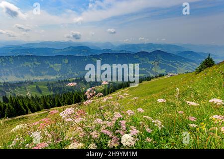 Blick vom Hochgrat, einem Gipfel in den alpen bei Oberstaufen im Allgäu, Bayern, Deutschland. Stockfoto