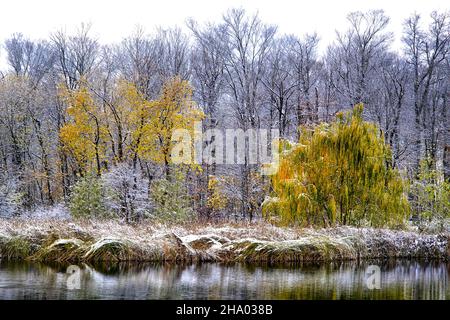 Frisch gefallener Schnee auf den Bäumen in einem Wintersee. Stockfoto