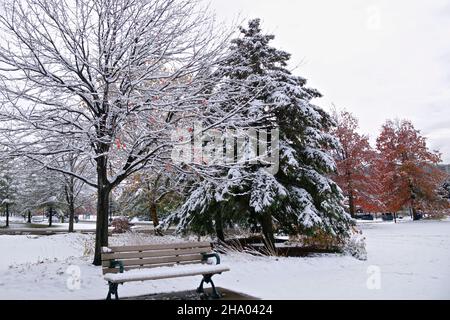 Eine hölzerne Parkbank in einem Park und Bäume in der Umgebung sind nach einem starken Schneesturm mit Eis und Schnee bedeckt. Stockfoto