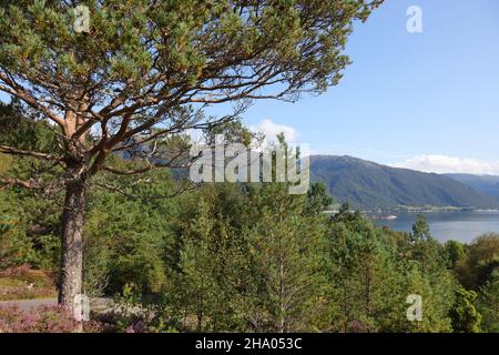 Norwegen - Landschaft bei Nordrevik und Vadheim / Norwegen - Landschaft bei Nordrevik und Vadheim / Stockfoto