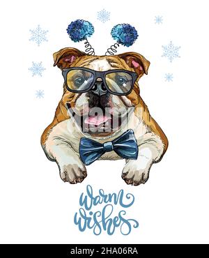 Grußkarte. Lustiges Bulldog-Portrait mit Bogen und Brille mit Schneeflocken und Schriftzug. Vektorgrafik. Für Dekor, Design, Druck, Poster Stock Vektor