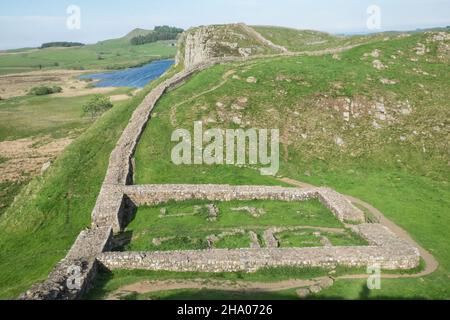 Milecastle 39, alte Mauer, Hadrianmauer, nahe, der Sycamore Gap Tree oder Robin Hood Tree ist ein Platanenbaum, der neben Hadrians Wall in der Nähe von Crag Lough in Northumberland, England, steht. Es befindet sich in einem dramatischen Sprung in die Landschaft und ist ein beliebtes fotografisches Motiv, das als einer der meistfotografierten Bäume des Landes bezeichnet wird. Seinen alternativen Namen leitet es von einer prominenten Szene im Film Robin Hood: Prince of Thieves aus dem Jahr 1991 ab. Der Baum wurde 2016 mit dem England Tree of the Year Award ausgezeichnet. Hadrians Wall, Northumberland, Engl Stockfoto