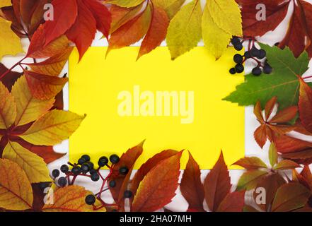 Herbstlicher Rahmen aus hellen Blättern und Beeren. Im Inneren gibt es freien Platz für Text auf einem gelben Blatt Papier. Stockfoto