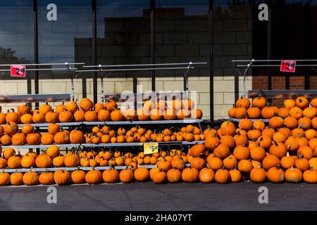 Frische Kürbisse zum Verkauf vor einem Supermarkt in Montreal, Quebec, Kanada Stockfoto