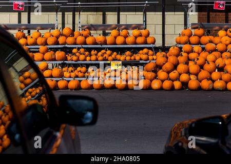 Frische Kürbisse zum Verkauf vor einem Supermarkt in Montreal, Quebec, Kanada Stockfoto