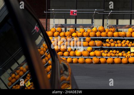 Frische Kürbisse zum Verkauf vor einem Supermarkt in Montreal, Quebec, Kanada Stockfoto