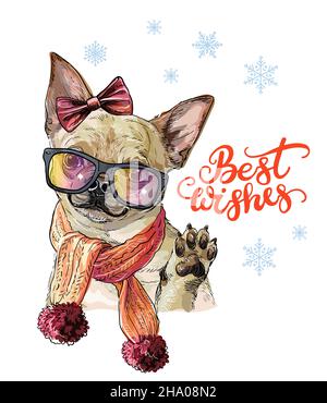 Weihnachtskarte. Lustiges chihuahua Hundeportrait mit Schleife, Schal und Brille mit Schneeflocken und Schriftzug. Vektorgrafik. Für Dekor, Design, prin Stock Vektor