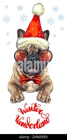 Weihnachtskarte. Lustiges französisches Bulldoggen-Portrait mit Bogen, weihnachtshut, Brille, Schneeflocken und Schriftzug. Vektorgrafik. Für Dekor, Design Stock Vektor