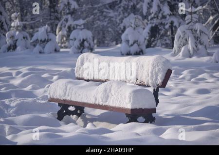 Holzbank im Park mit einer dicken Schneeschicht bedeckt Stockfoto