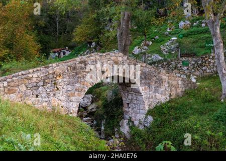 Poo de Cabrales mittelalterliche Brücke, Asturien. Stockfoto