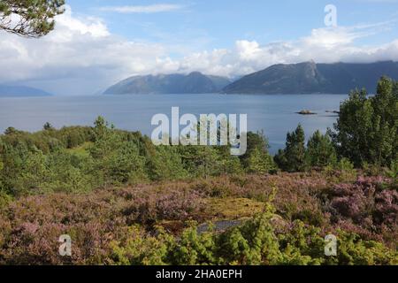 Norwegen - Sognefjord bei Nordrevik / Norwegen - Sognefjord bei Nordrevik / Stockfoto