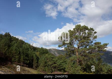 Norwegen - Landschaft bei Nordrevik und Vadheim / Norwegen - Landschaft bei Nordrevik und Vadheim / Stockfoto