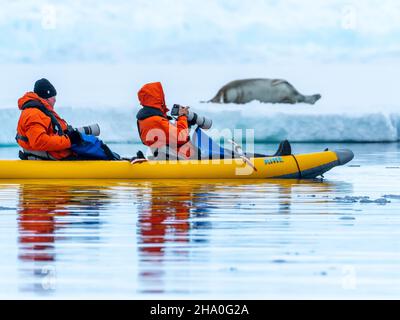 Seekajak in der Wilhelmina-Bucht entlang der Antarktischen Halbinsel Stockfoto