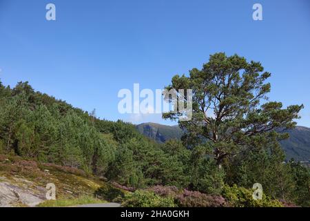 Norwegen - Landschaft bei Nordrevik und Vadheim / Norwegen - Landschaft bei Nordrevik und Vadheim / Stockfoto