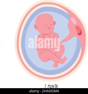 Symbol für die Entwicklung des Embryos im siebten Monat Stock Vektor
