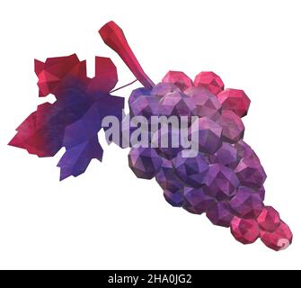 Lila Rosa Trauben Dekoration Figur Stock Vektor
