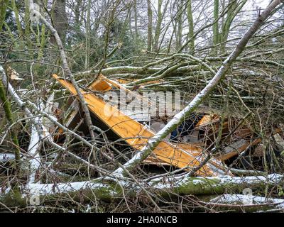 Bäume, die von Storm Arwen auf einen großen Schuppen in Ambleside, Lake District, Großbritannien, geblasen wurden. Stockfoto