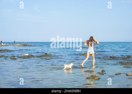 Spielen mit Hunden im Meer Stockfoto
