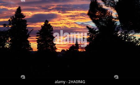 Silhouetten von Bäumen vor einem spektakulären Himmel mit rötlichen Wolken typisch für den Sonnenuntergang. Panoramaformat. Speicherplatz kopieren Stockfoto