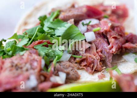 Berlin, Deutschland. 05th Dez 2021. Ein Barbacoa Taco ist auf einem Teller. Quelle: Fernando Gutierrez-Juarez/dpa-Zentralbild/ZB/dpa/Alamy Live News Stockfoto