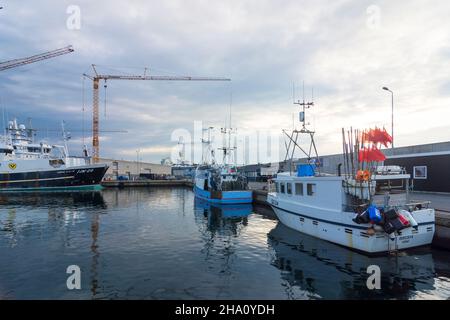 Frederikshavn: Hafen Skagen, Fischerboote, in Skagen, Jylland, Jütland, Dänemark Stockfoto