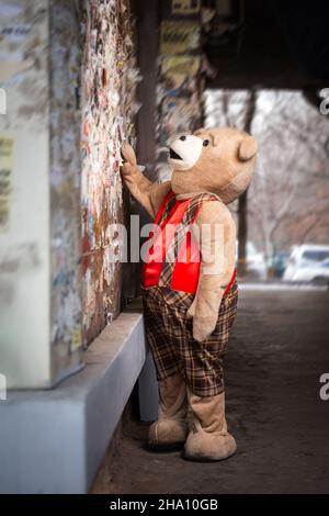 Ein Spielzeugbär liest ein Pinnwand. Stockfoto