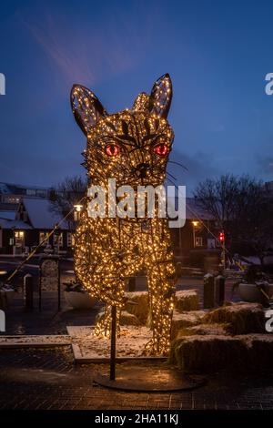 Reykjavik, Island - 8. Dezember 2021: Eine große LED-Katze (Jolakotturinn) in der Innenstadt von Reykjavik. Weihnachtsbeleuchtung. Winternacht, keine Menschen. Stockfoto