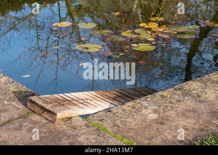 Eine Rampe (Holzdiele) in der Ecke eines Gartenteiches, um Wildtieren oder Tieren die Flucht aus dem Wasser zu ermöglichen Stockfoto