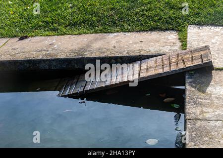 Eine Rampe (Holzdiele) in der Ecke eines Gartenteiches, um Wildtieren oder Tieren die Flucht aus dem Wasser zu ermöglichen Stockfoto