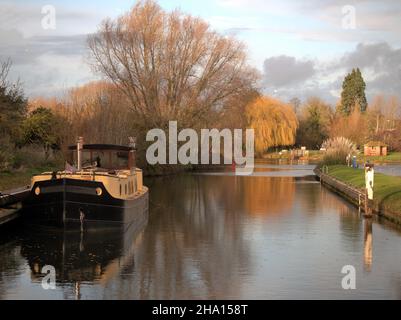 Ein Hausboot, das an der Benson Lock auf der Themse in Oxfordshire festgemacht ist, wobei sich die Wintersonne am Nachmittag auf dem umliegenden Baum spiegelt Stockfoto