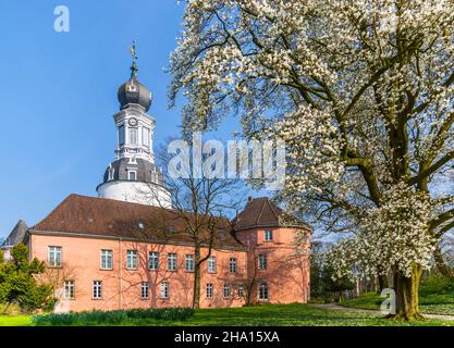 Schloss Jever Museum und Magnolie blühen im Frühling, Deutschland Stockfoto