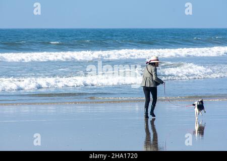 Eine Frau in den Vierzigern, mexikanischer Abstammung, die ihren Hund am Tijuana Beach, Tijuana, Mexiko, zu Fuß führt. Stockfoto