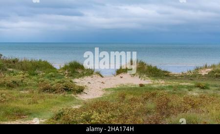 Sanddünen bei Agon-Coutainville in der Normandie, nach dem Gewitter, schönes Licht Stockfoto