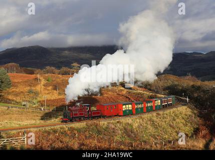 Palmerston fährt mit der Ffestiniog Railway 2.11.21 um die Dduallt Spirale Stockfoto