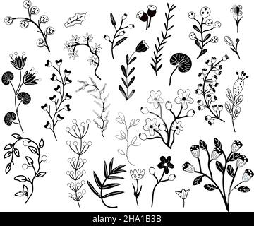 Große Sammlung Blumen, Blätter, Äste, Beeren. Skandinavischer Stil. Wild Botanical Elemente für Ihr Design. Schlichte, minimalistische, schwarz-weiße Blüten. Vektorgrafik. Stock Vektor