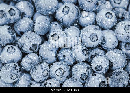 Heidelbeerfrucht Hintergrund, frische reife Beeren im Vollbildformat Stockfoto