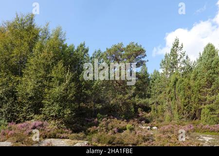 Norwegen - Landschaft bei Nordrevik und Vadheim / Norwegen - Landschaft bei Nordrevik und Vadheim / Stockfoto