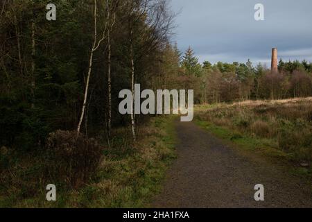 Smitham Chimney, East Harptree Woods, Somerset, England Stockfoto