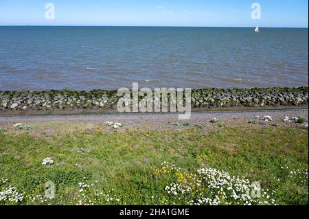 Blick auf Afsluidijk, langer Damm mit Autobahn zum Schutz der Niederlande vor dem Wasser der Nordsee Stockfoto