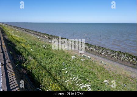 Blick auf Afsluidijk, langer Damm mit Autobahn zum Schutz der Niederlande vor dem Wasser der Nordsee Stockfoto