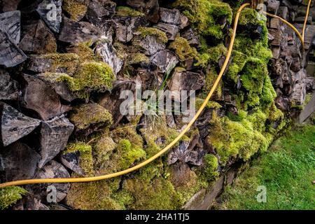 Wasserschlauchrohr, das an einer Wand eines Blockschuppens hängt Stockfoto