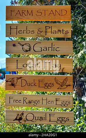 Ein Holzschild auf einer ländlichen Farm, auf der Pflanzen und Eier zum Verkauf auf einer ländlichen Straße auf Vancouver Island British Columbia Canada stehen Stockfoto