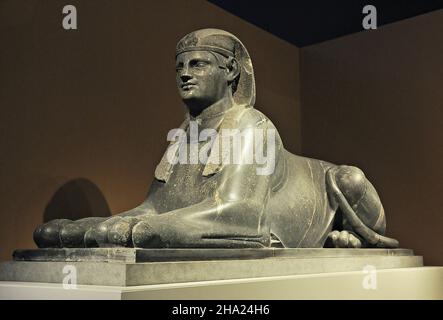 Ausstellung von Tieren und Pharaonen im CaixaForum Museum in Barcelona, Katalonien, Spanien Stockfoto