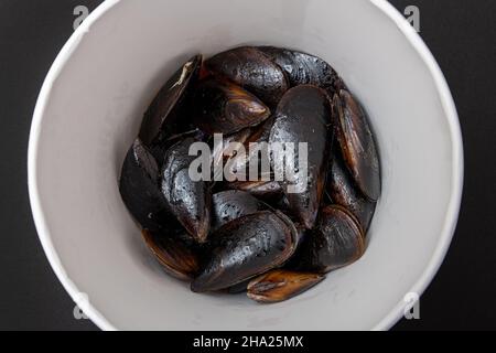 Frisch gefüllte Muscheln im Eimer auf dunklem Steingrund Stockfoto