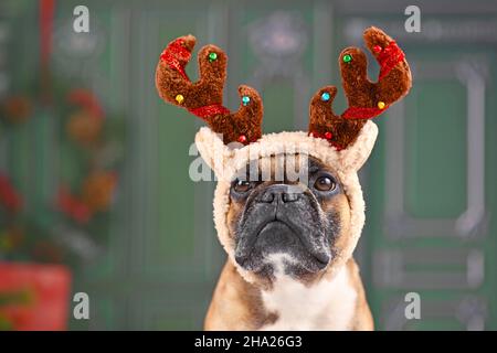 Niedlicher französischer Bulldogge Hund mit weihnachtlichen Rentier Geweih Kostüm Stirnband Stockfoto