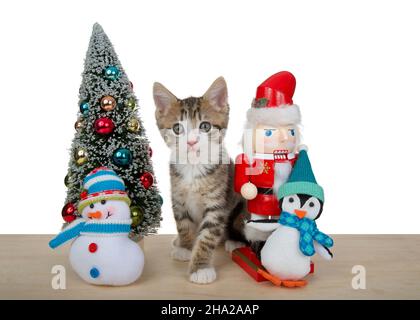 Bezauberndes grau und weiß gestreiftes tabby Kätzchen, das auf einem hellen Holzboden neben einem winzigen Weihnachtsbaum sitzt, einem winzigen gefüllten Schneemann und einem Pinguin. Looking dir Stockfoto