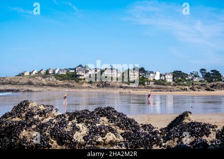 Saint-Lunaire (Bretagne, Nordwestfrankreich): Strand „Plage de Longchamp“ mit Villen am Ufer Stockfoto