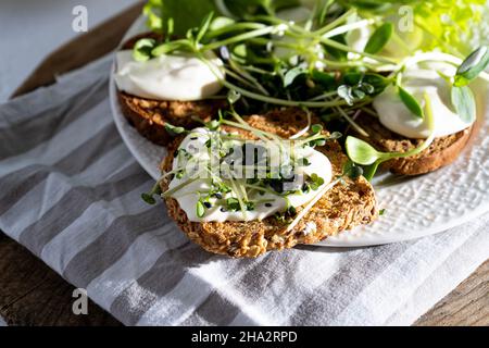 Frühstück mit Micro Green auf einem Teller. Brot Toast, Mozzarella Käse, Sahnesauce. Futter mit grünen Sprossen von Microgreen. Gesunde Ernährung. Gesunde einfache Lebensmittel. Salat mit Sonnenblumensprossen, Rucola, Rettich, Senf. Stockfoto