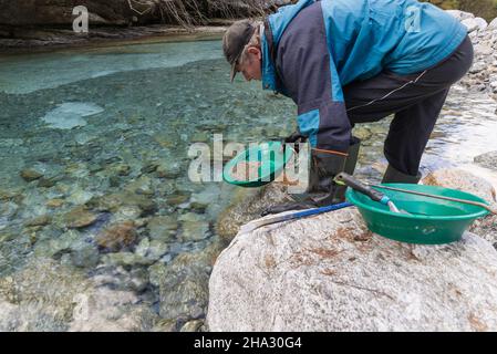 Outdoor-Abenteuer auf dem Fluss. Goldwaschen, nach Gold suchen. Der Mensch sucht Gold mit einer Goldpfanne in einem Bergbach Stockfoto